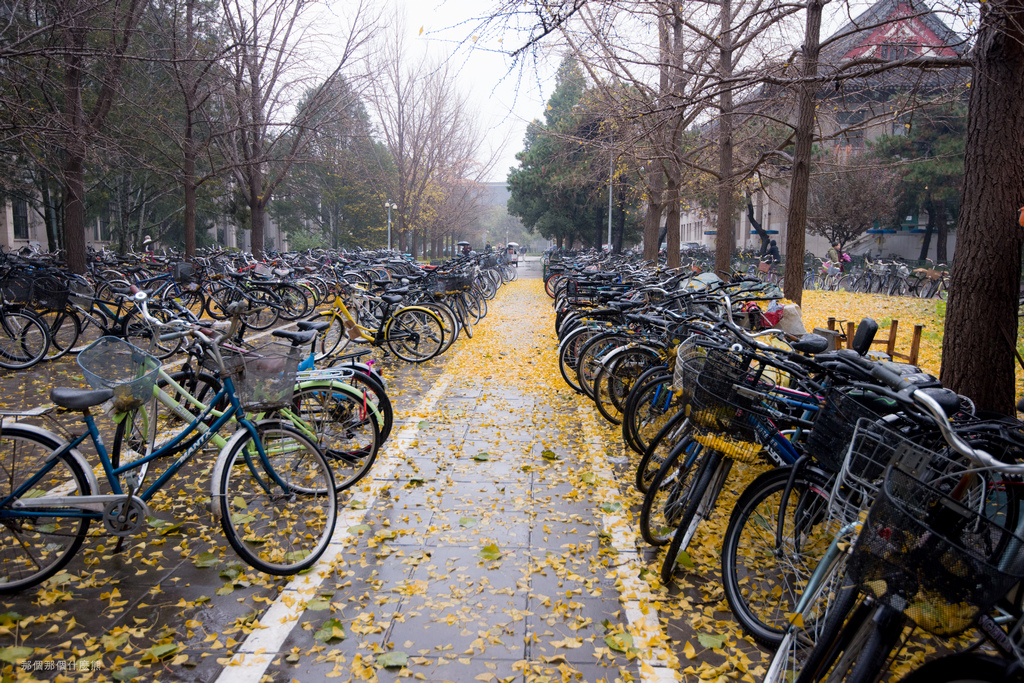 《頤和園、北京大學、奧體中心》2015年11月21日 20151121-DUK_5869.jpg
