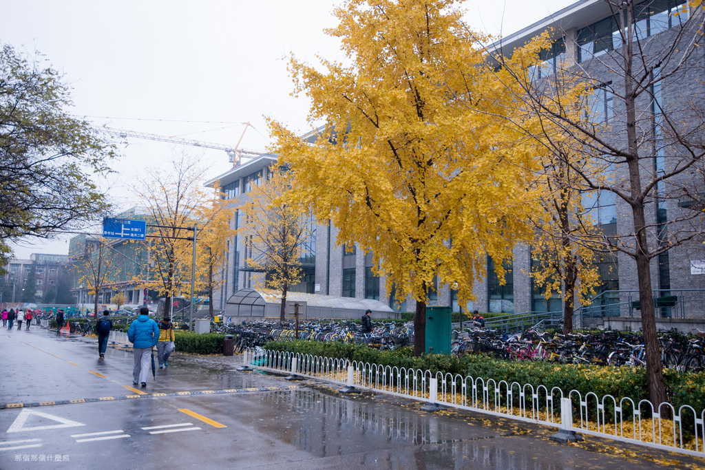 《頤和園、北京大學、奧體中心》2015年11月21日 20151121-DUK_5885.jpg