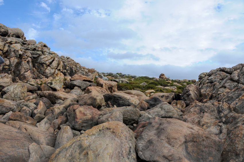 在西澳必做的三十五件事—(1) Injidup Natura