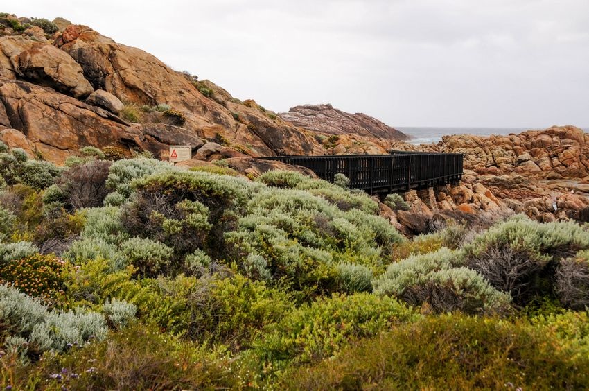 在西澳必做的三十五件事—(1) Injidup Natura 在西澳必做的三十五件事—(1) Injidup Natura