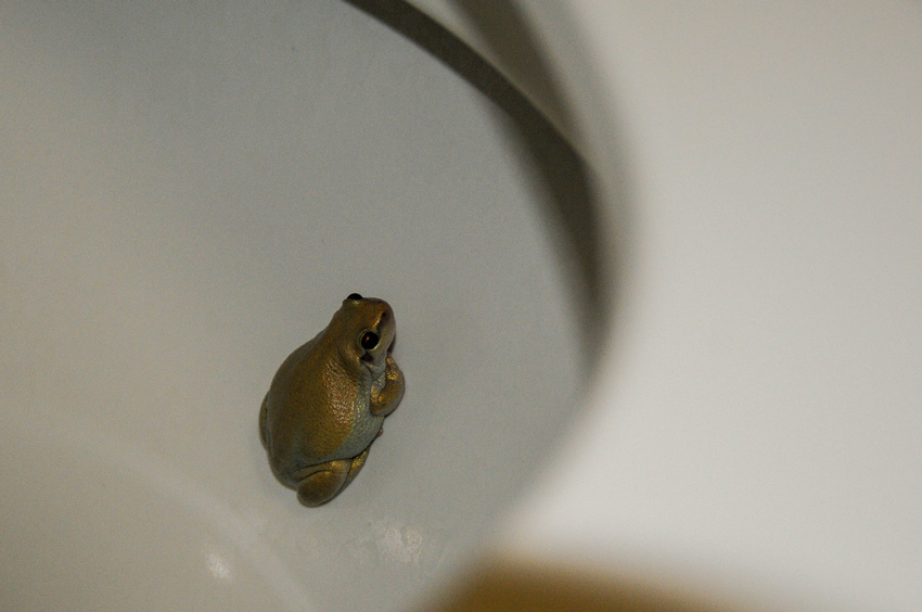 由西北前進奧古斯都山(Part 1) (Mount Augu 由西北前進奧古斯都山(Part 1) (Mount Augu