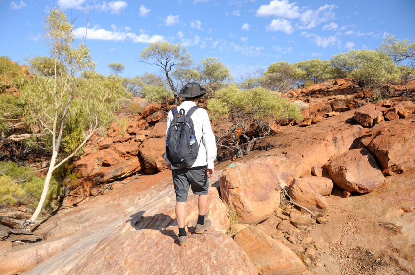 在西澳必做的三十五件事—(22) 攀爬奧古斯都山(Part 在西澳必做的三十五件事—(22) 攀爬奧古斯都山(Part