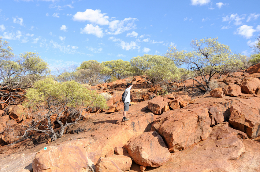 在西澳必做的三十五件事—(22) 攀爬奧古斯都山(Part 在西澳必做的三十五件事—(22) 攀爬奧古斯都山(Part