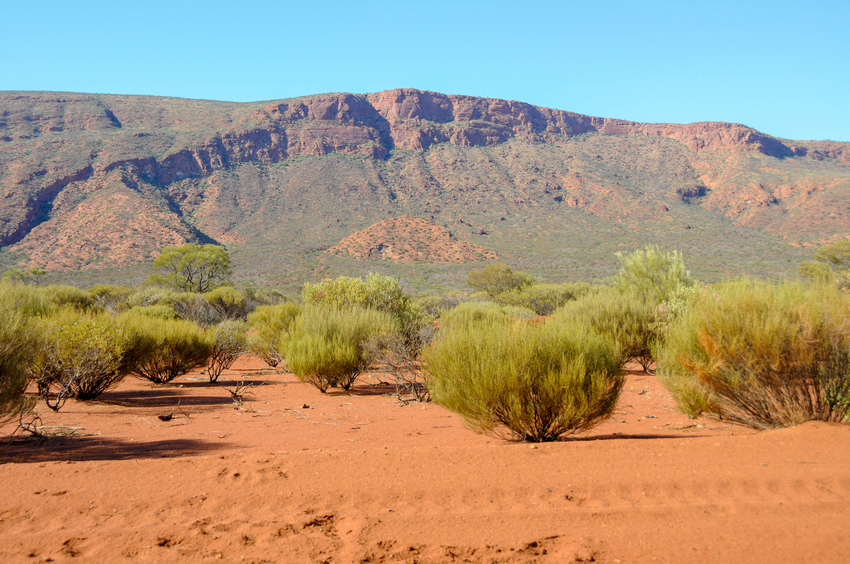 離開奧古斯都山(Part 4)(Mount Augustus 離開奧古斯都山(Part 4)(Mount Augustus