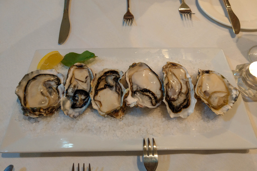 離開奧古斯都山(Part 4)(Mount Augustus 離開奧古斯都山(Part 4)(Mount Augustus