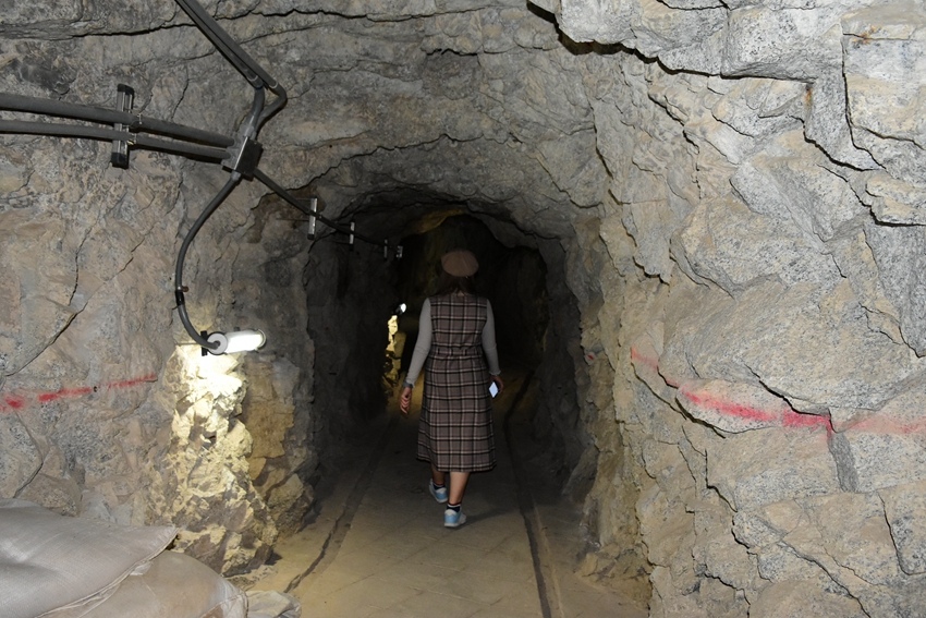 DSC_0575 2022-11-19160 2022-11-19143.jpg