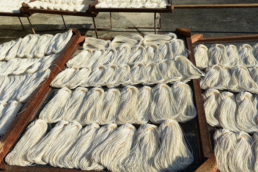 DSC_0684 2022-11-19187 2022-11-19170.jpg