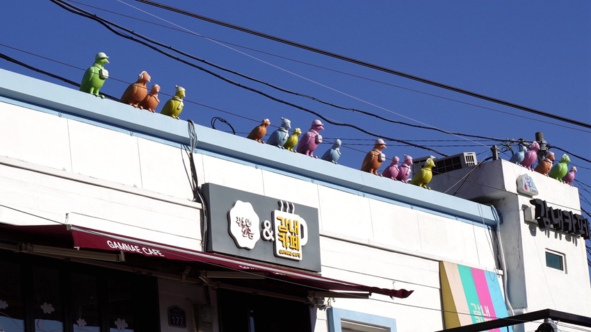 C1387 - FRAME AT 0M4S079065.jpg