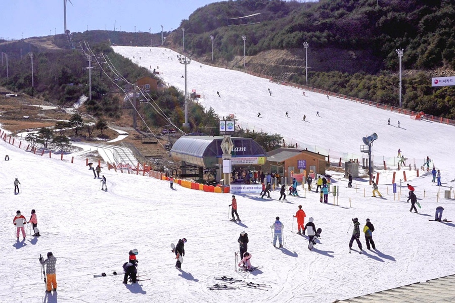 未命名C1556T01 2023-01-291412023 2023-01-29033.jpg 未命名C1556T01 2023-01-291412023 2023-01-29033.jpg