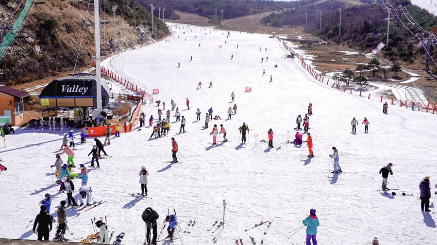 未命名C1558T01 2023-01-291612023 2023-01-29049.jpg 未命名C1558T01 2023-01-291612023 2023-01-29049.jpg