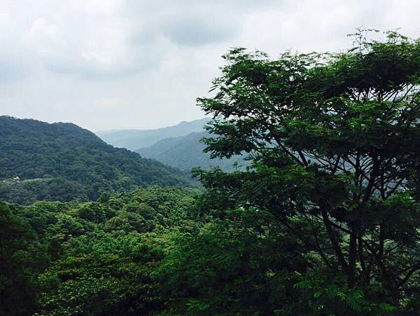 【台北景觀餐廳推薦】最療癒身心的放鬆行程:我們親訪過的絕美景