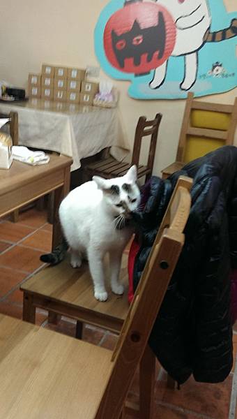 【新北景點推薦】到猴硐火車站除了看貓外,還有很多好吃的:21 【新北景點推薦】到猴硐火車站除了看貓外,還有很多好吃的:21