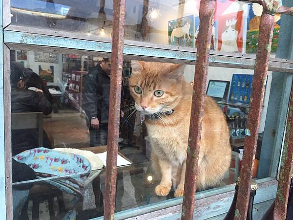 【新北景點推薦】到猴硐火車站除了看貓外,還有很多好吃的:21 【新北景點推薦】到猴硐火車站除了看貓外,還有很多好吃的:21