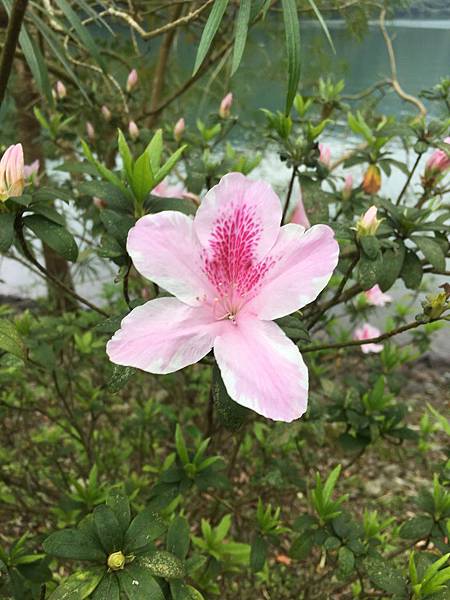 【花蓮三天兩夜旅遊全攻略】從行程安排到必吃美食,觀光客與在地 【花蓮三天兩夜旅遊全攻略】從行程安排到必吃美食,觀光客與在地