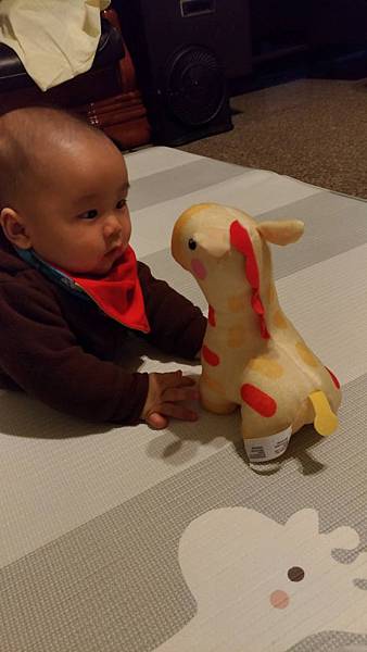 【育兒分享】小寶貝的匍匐前進: 學爬行