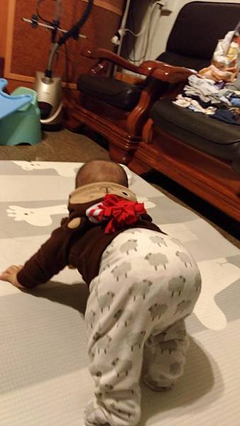 【育兒分享】小寶貝的匍匐前進: 學爬行 【育兒分享】小寶貝的匍匐前進: 學爬行