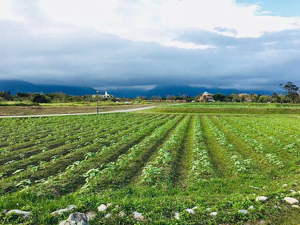 【花蓮三天兩夜旅遊全攻略】從行程安排到必吃美食,觀光客與在地 【花蓮三天兩夜旅遊全攻略】從行程安排到必吃美食,觀光客與在地