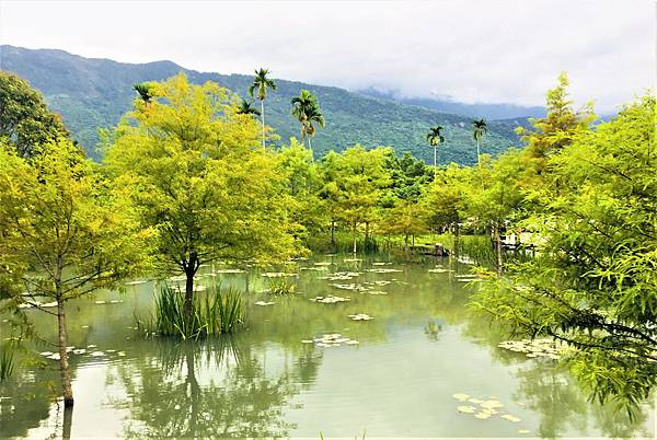 【花蓮三天兩夜旅遊全攻略】從行程安排到必吃美食,觀光客與在地