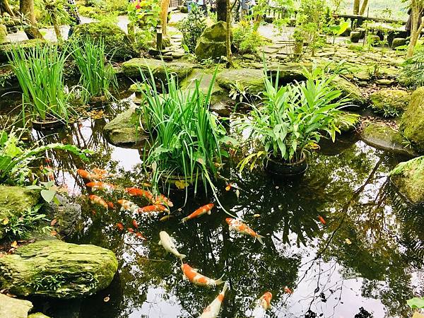【花蓮三天兩夜旅遊全攻略】從行程安排到必吃美食,觀光客與在地 【花蓮三天兩夜旅遊全攻略】從行程安排到必吃美食,觀光客與在地