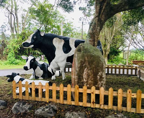 【花蓮三天兩夜旅遊全攻略】從行程安排到必吃美食,觀光客與在地 【花蓮三天兩夜旅遊全攻略】從行程安排到必吃美食,觀光客與在地