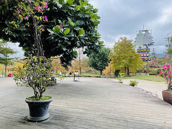 【花蓮落羽松美食餐廳推薦】在旅途當中,找個讓人放鬆的歇息處: 【花蓮落羽松美食餐廳推薦】在旅途當中,找個讓人放鬆的歇息處:
