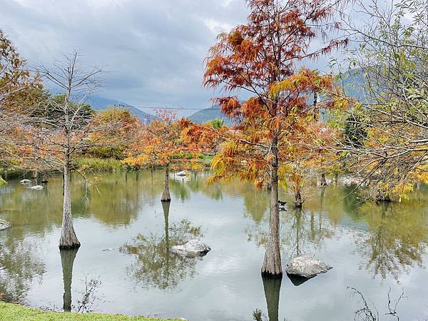 【花蓮落羽松美食餐廳推薦】在旅途當中,找個讓人放鬆的歇息處: 【花蓮落羽松美食餐廳推薦】在旅途當中,找個讓人放鬆的歇息處: