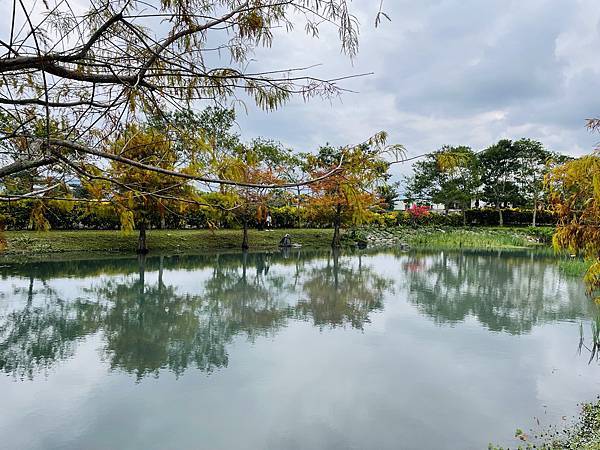 【花蓮落羽松美食餐廳推薦】在旅途當中,找個讓人放鬆的歇息處: 【花蓮落羽松美食餐廳推薦】在旅途當中,找個讓人放鬆的歇息處: