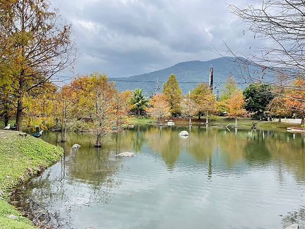 【花蓮落羽松美食餐廳推薦】在旅途當中,找個讓人放鬆的歇息處: 【花蓮落羽松美食餐廳推薦】在旅途當中,找個讓人放鬆的歇息處: