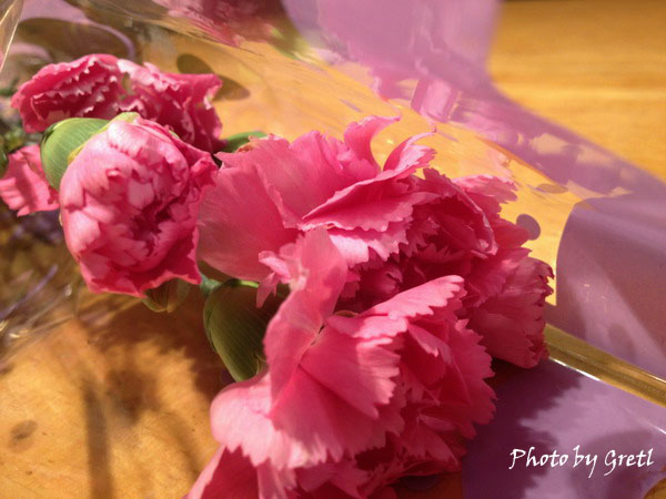 IMG_4710 IMG_4710