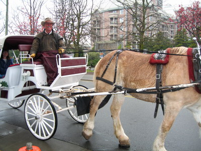 維多利亞市區馬車