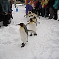 尼克斯海洋公園