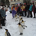 尼克斯海洋公園