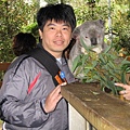 KOALA PARK