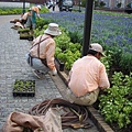 Huis Ten Bosch