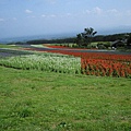 久住花公園