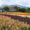 久住花公園