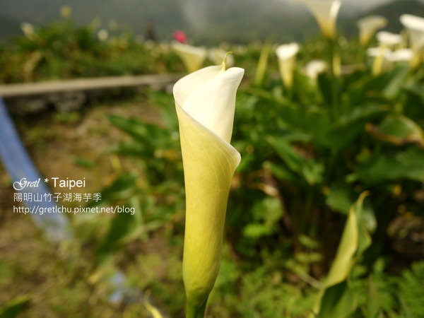 P1020500.JPG P1020500.JPG