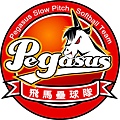 Pegasus球衣02曲.jpg