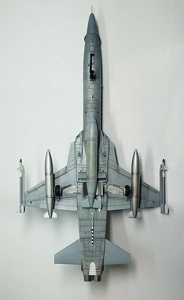 AFV 1/48 F-5F Tiger ll 中正號戰鬥機 