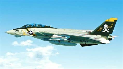 Hasegawa 1/48 F-14A Tomcat 雄貓