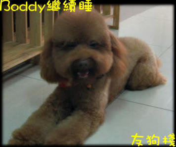 boddy還在睡.jpg