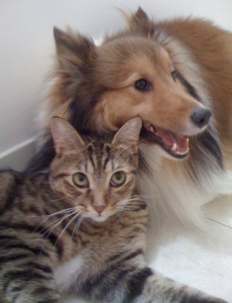 Lattie and his good friend