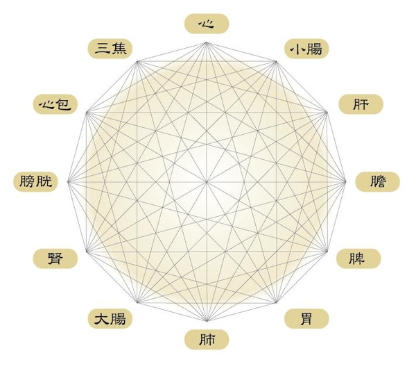 五臟六腑的意義.jpg