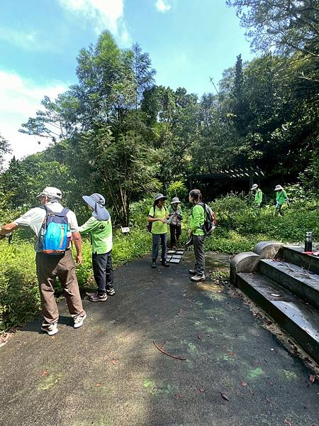 2025-7-13 善息寺步道路觀 (日)