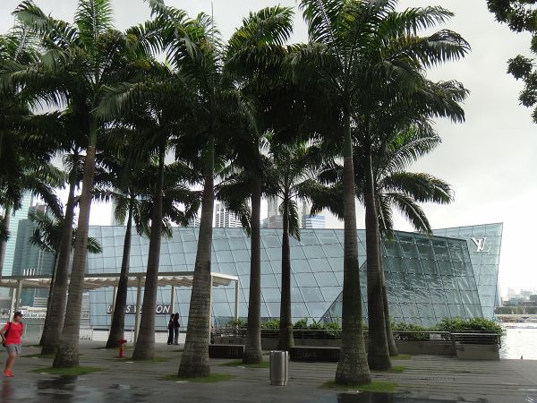 DSC08119.jpg