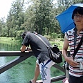 在琵琶湖拍照