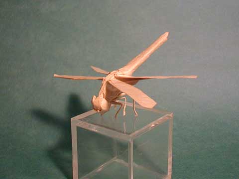 0205.jpg 0205.jpg
