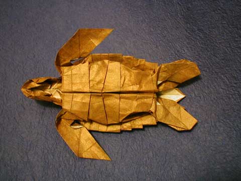 0224_5.jpg 0224_5.jpg
