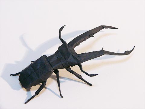 0505.jpg 0505.jpg