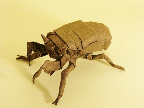 0509.jpg 0509.jpg